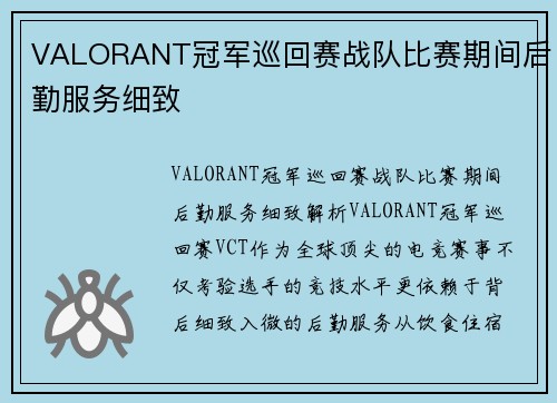 VALORANT冠军巡回赛战队比赛期间后勤服务细致