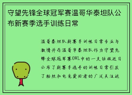 守望先锋全球冠军赛温哥华泰坦队公布新赛季选手训练日常